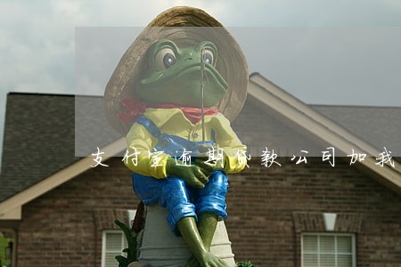 支付宝逾期贷款公司加我