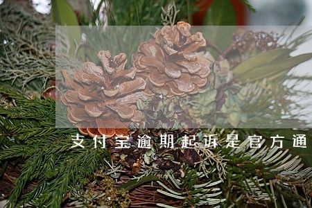 支付宝逾期起诉是官方通知吗 支付宝逾期起诉是官方通知吗