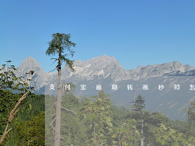 支付宝逾期转账秒扣怎么办 支付宝逾期转账秒扣怎么办