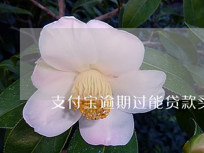 支付宝逾期过能贷款买车么 支付宝逾期过能贷款买车么