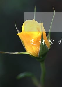 支付宝逾期过还能办贷款吗 支付宝逾期过还能办贷款吗