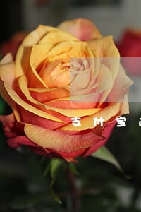 支付宝逾期还可以去工厂上班吗 支付宝逾期还可以去工厂上班吗