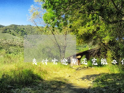 支付宝逾期还完能办信用卡吗 支付宝逾期还完能办信用卡吗