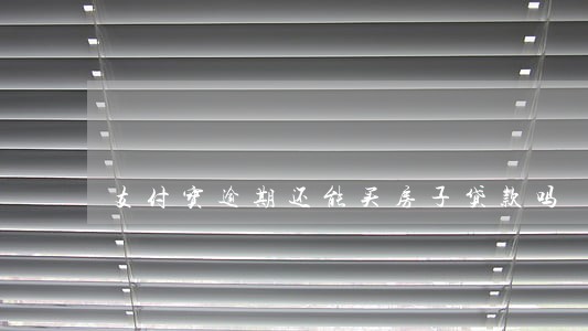 支付宝逾期还能买房子贷款吗 支付宝逾期还能买房子贷款吗