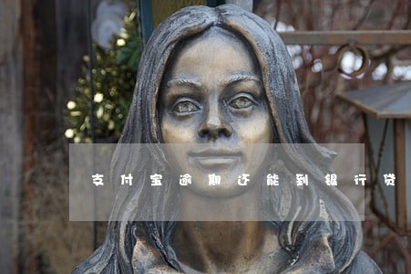 支付宝逾期还能到银行贷款吗 支付宝逾期还能到银行贷款吗