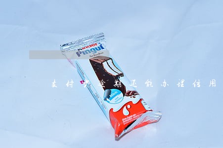 支付宝逾期还能办理信用卡吗 支付宝逾期还能办理信用卡吗