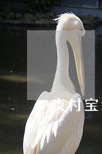 支付宝逾期还能在银行贷款吗 支付宝逾期还能在银行贷款吗