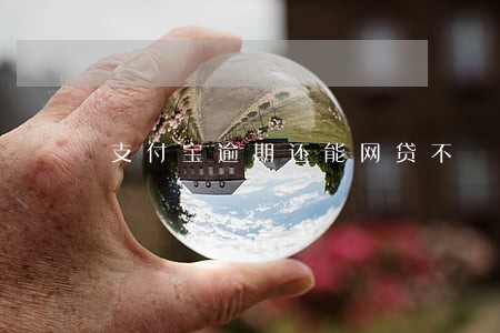 支付宝逾期还能网贷不 支付宝逾期还能网贷不