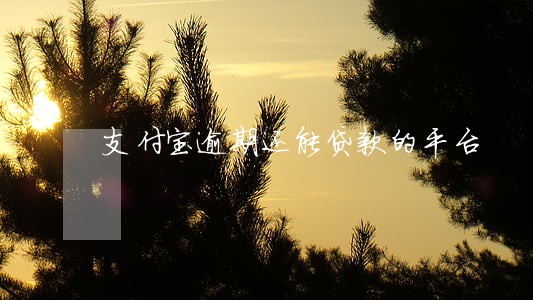 支付宝逾期还能贷款的平台 支付宝逾期还能贷款的平台