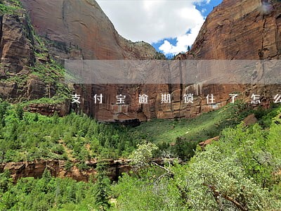 支付宝逾期锁住了怎么解锁 支付宝逾期锁住了怎么解锁