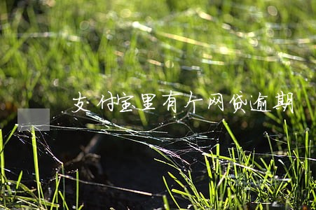 支付宝里有个网贷逾期 支付宝里有个网贷逾期