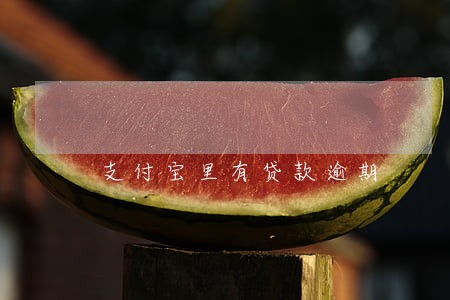 支付宝里有贷款逾期 支付宝里有贷款逾期