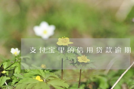 支付宝里的信用贷款逾期 支付宝里的信用贷款逾期