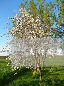 支付宝里的逾期记录上征信 支付宝里的逾期记录上征信