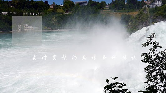 支付宝预约离婚事件确认不上 支付宝预约离婚事件确认不上