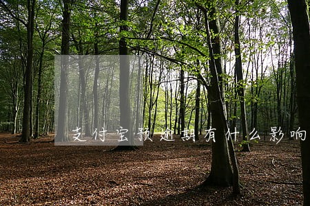 支付宝预逾期有什么影响 支付宝预逾期有什么影响