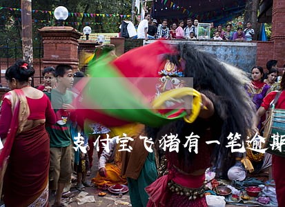 支付宝飞猪有一笔逾期会上征信吗 支付宝飞猪有一笔逾期会上征信吗