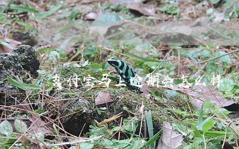 支付宝马上逾期会怎么样 支付宝马上逾期会怎么样