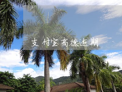 支付宝高德逾期 支付宝高德逾期
