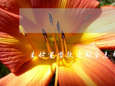 支付室借款逾期会怎样 支付室借款逾期会怎样