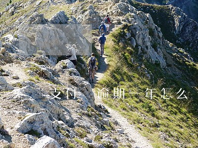 支付寶逾期一年怎么還 支付寶逾期一年怎么還