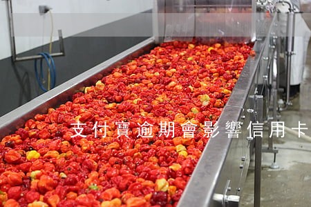 支付寶逾期會影響信用卡審核嗎