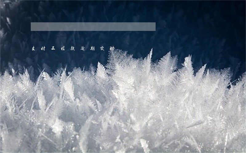 支付工程款逾期交付 支付工程款逾期交付
