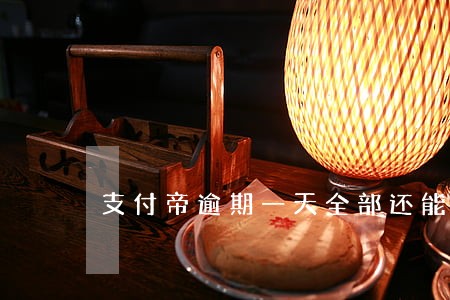 支付帝逾期一天全部还能借吗 支付帝逾期一天全部还能借吗