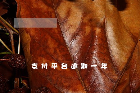 支付平台逾期一年 支付平台逾期一年