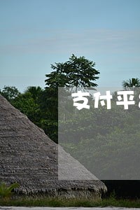 支付平台逾期一月多少