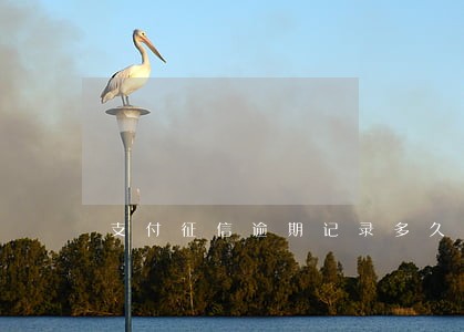 支付征信逾期记录多久消除