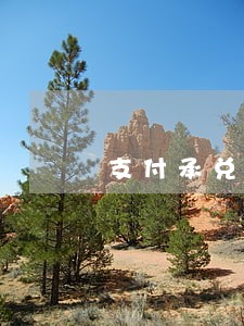 支付承兑是否是逾期付款 支付承兑是否是逾期付款