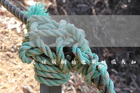 支付报酬的逾期的损失如何计算 支付报酬的逾期的损失如何计算