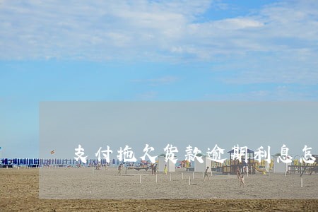 支付拖欠货款逾期利息怎么做账 支付拖欠货款逾期利息怎么做账