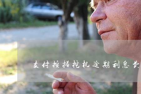 支付按揭挖机逾期利息费用分录 支付按揭挖机逾期利息费用分录