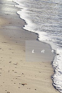 支付本芝麻分407有逾期能贷 支付本芝麻分407有逾期能贷