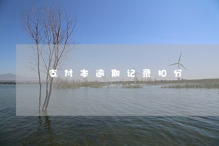支付本逾期记录扣分 支付本逾期记录扣分