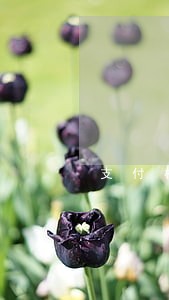支付材料款逾期利息的计算公式