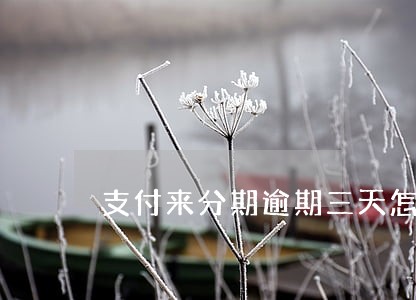 支付来分期逾期三天怎么办 支付来分期逾期三天怎么办