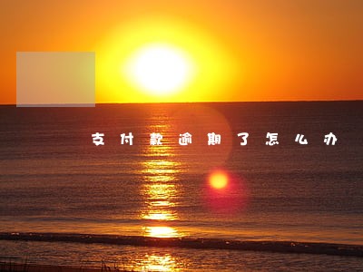 支付款逾期了怎么办 支付款逾期了怎么办