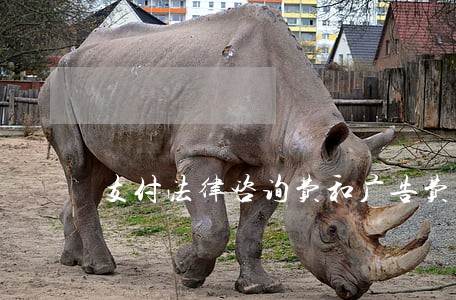 支付法律咨询费和广告费 支付法律咨询费和广告费