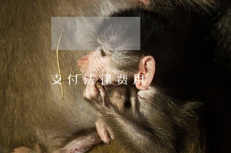 支付法律费用