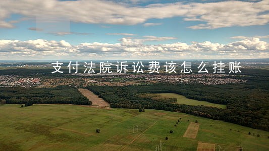 支付法院诉讼费该怎么挂账 支付法院诉讼费该怎么挂账