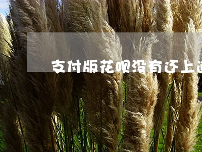 支付版花呗没有还上逾期了怎么办