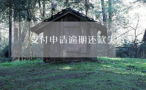 支付申请逾期还款失败是怎么回事 支付申请逾期还款失败是怎么回事