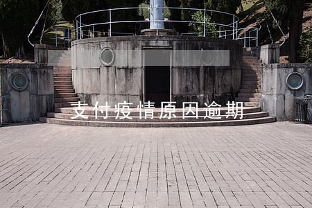 支付疫情原因逾期 支付疫情原因逾期