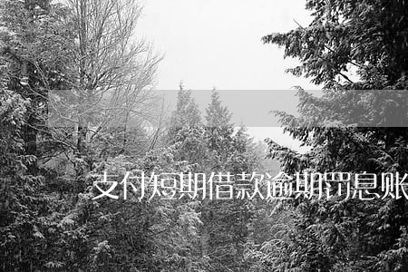 支付短期借款逾期罚息账务处理 支付短期借款逾期罚息账务处理