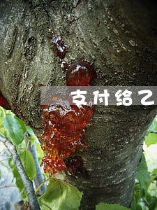 支付给乙方逾期将产生多少利息