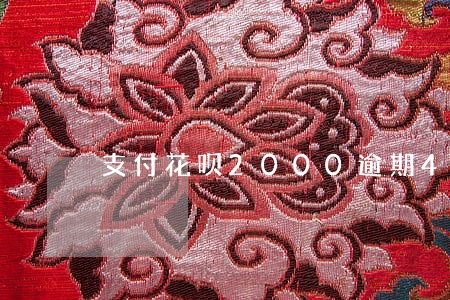 支付花呗2000逾期4个月 支付花呗2000逾期4个月