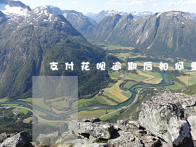 支付花呗逾期后如何重新开通